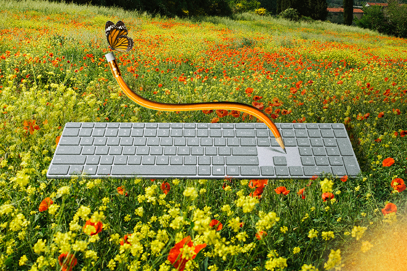 : A keyboard in the middle of a field of flowers, with a bending/curving pencil on top of it illustrating the idea of flexibility. Butterflies perch atop the pencil.