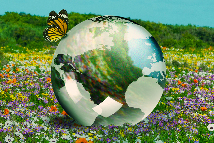 A shiny mirrored globe of the Earth rests in the middle of a field of flowers. A butterfly is perched atop it.