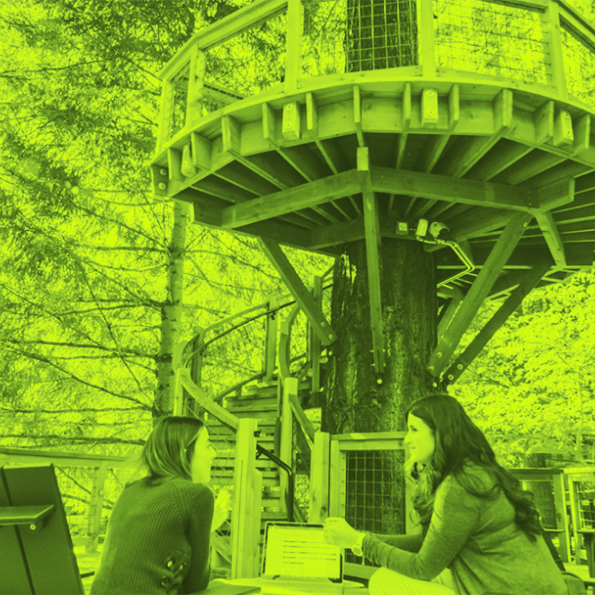 Two workers share an outdoor chat over a laptop beneath an elaborate modernist tree house.  