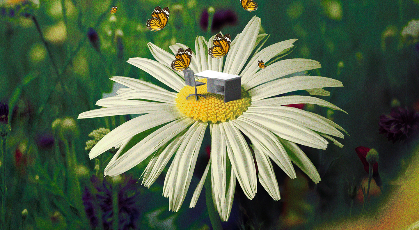 A tiny desk and chair rest atop an enormous sunflower. Butterflies flit about and perch on the chair.