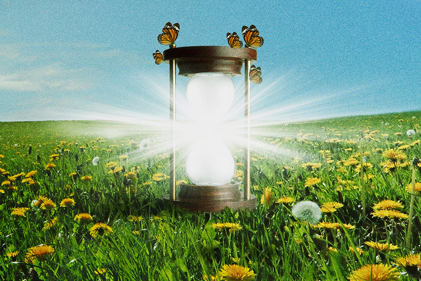 A brightly glowing hourglass in the middle of a field of flowers. Butterflies perch atop it.