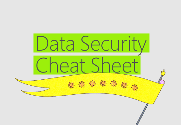 Data security cheat sheet - download file